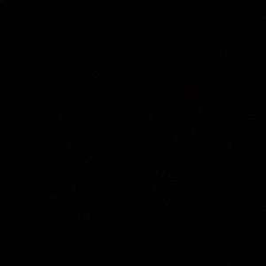 Meet your Posher, Kechia